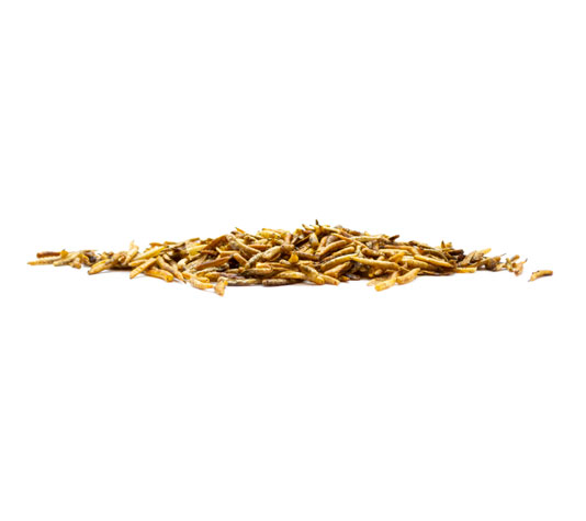 Larvas desidratadas de moscas ou minhocas para répteis, tartarugas, peixes de lago e pássaros – 250g – Petisco proteico para animais de estimação