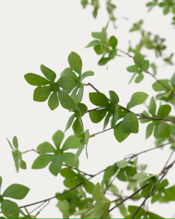 Kave Home Enkianthus kunstplant 214