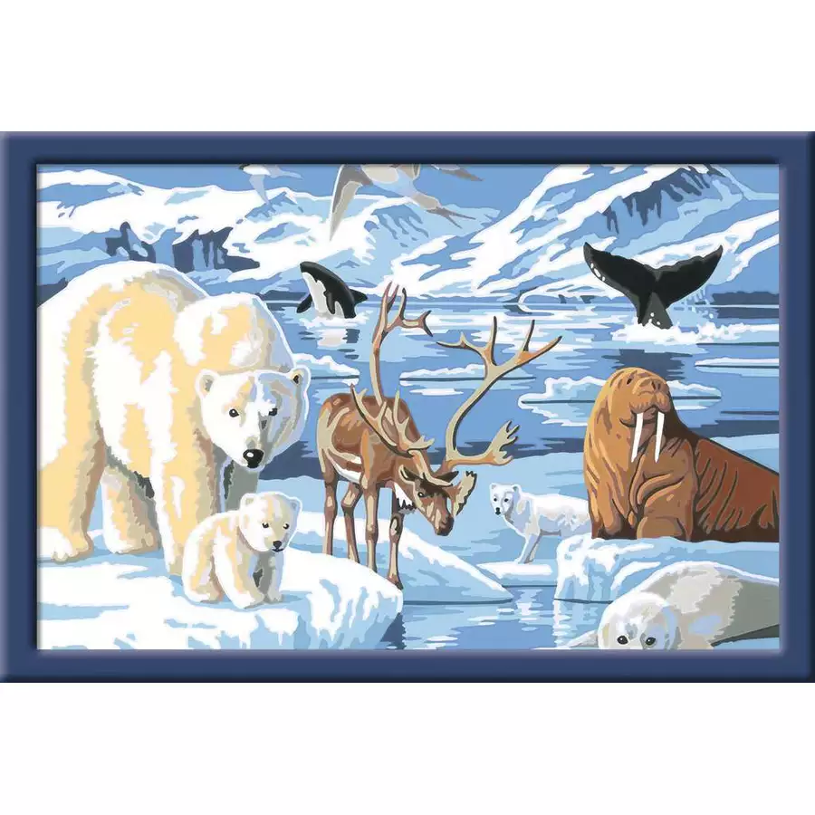 Ravensburger Tiere der Arktis bunt