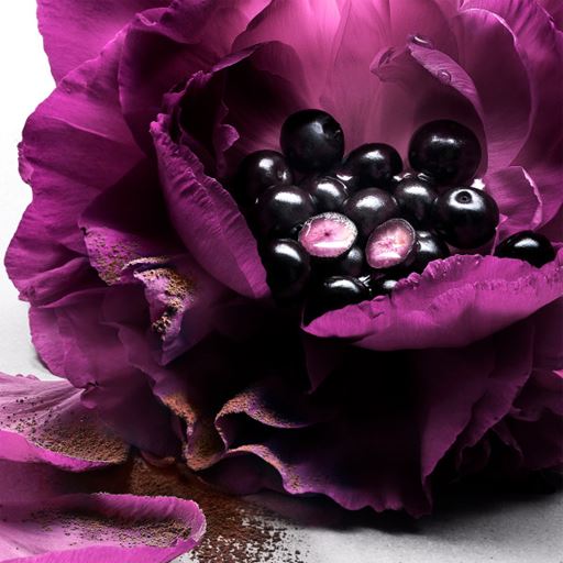Lancôme La Nuit Trésor Le Parfum, 50 ml