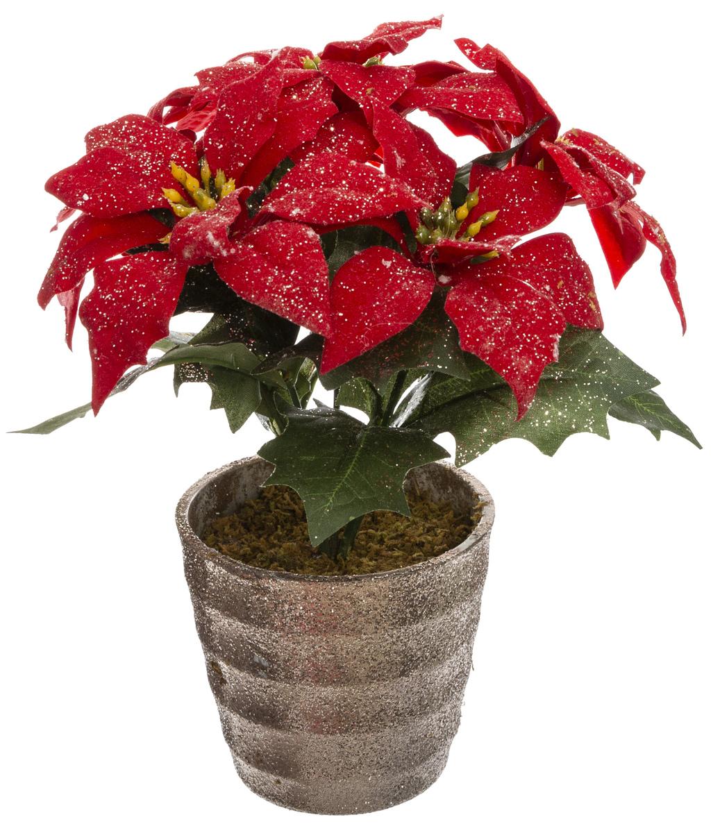 BRANCHE POINSETTIA ROUGE PAILLETTE POT H.22CM