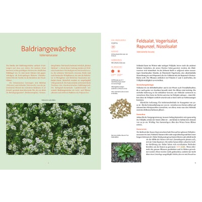 Handbuch Samengärtnerei