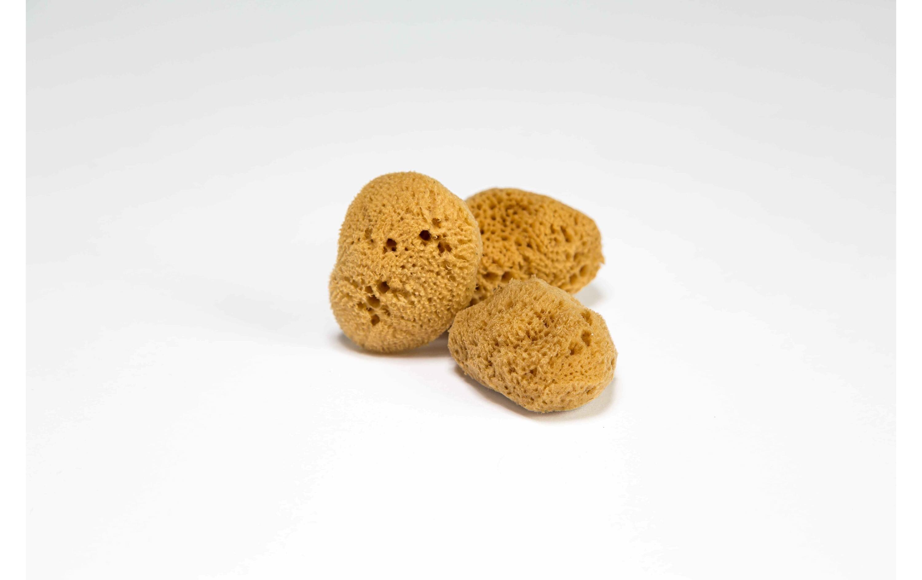 Menstruationsschwamm Grösse L 3 StückZero Waste Naturschwamm für die Periode im 3er Set aus «Die Höhle der Löwen»