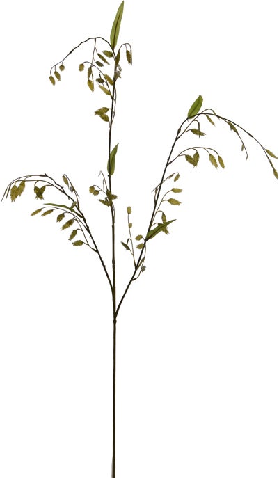 Jasaco kunstbloem Plataargras groen 87 cm
