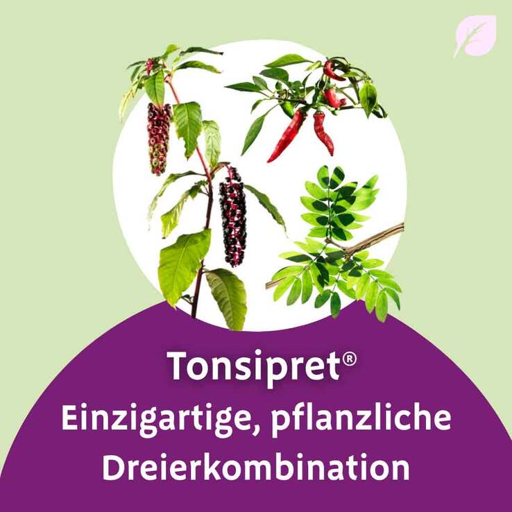 Tonsipret Tabletten, 100 St