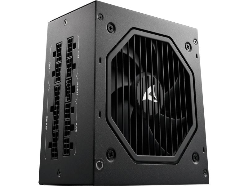 Sharkoon Netzteil Rebel P20 Platinum 1000 W, Schwarz Sharkoon Rebel P20 Netzteil 1000 W 24-pin ATX Schwarz