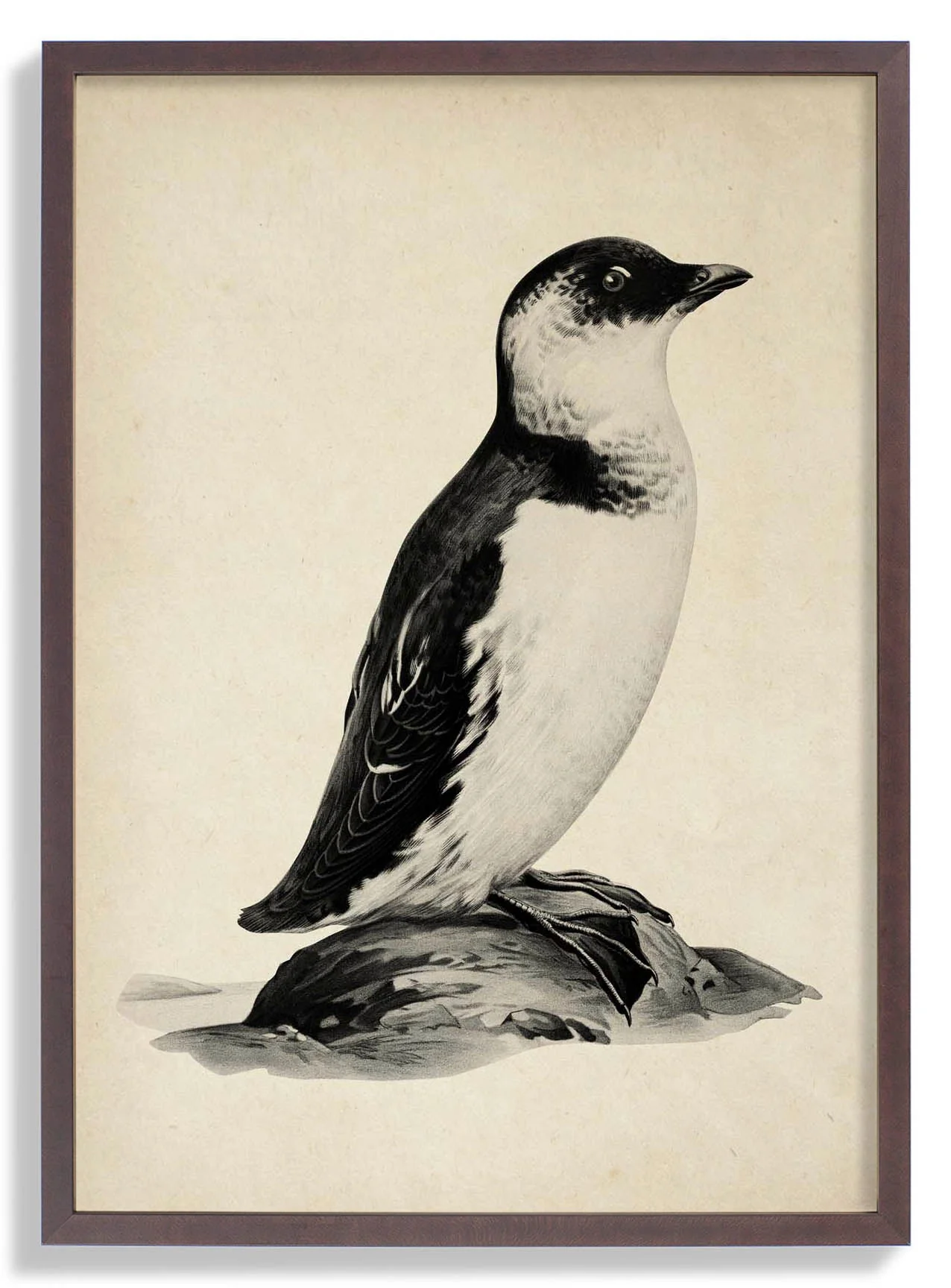 Antiker Pinguin