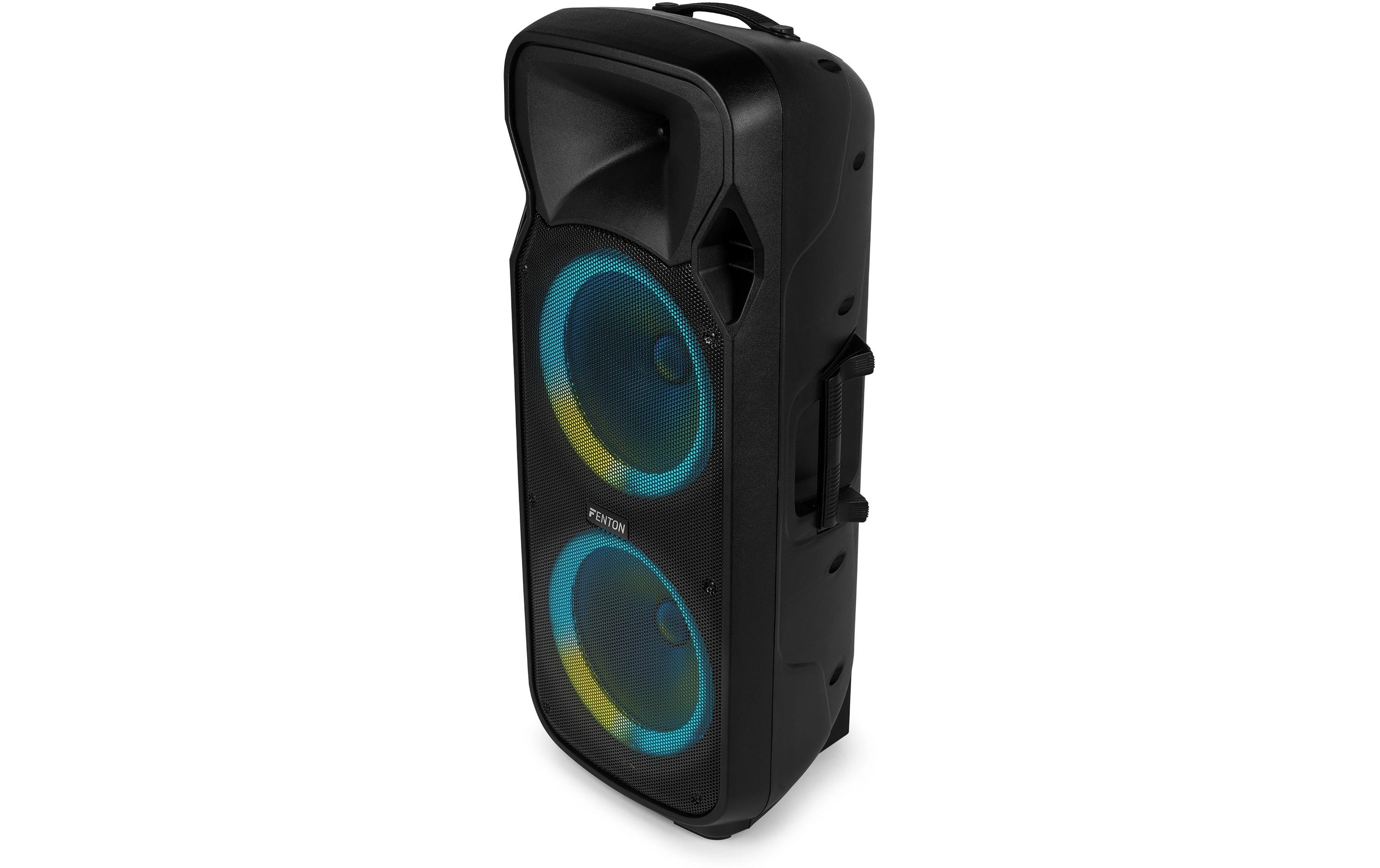 Lautsprecher FT212 lED MK2<br>Tragbarer PA-Lautsprecher mit LED