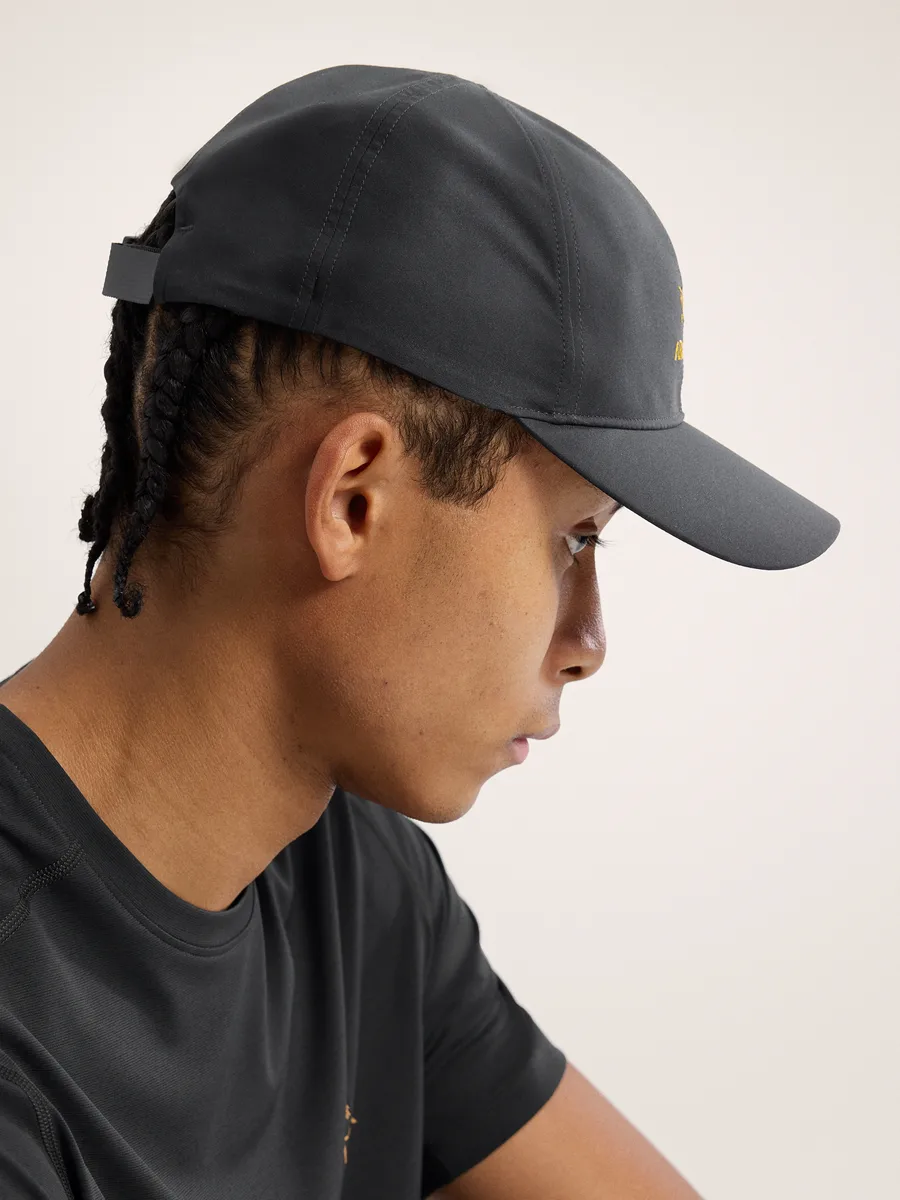 Arc'teryx Bird Word Cap 24k Black