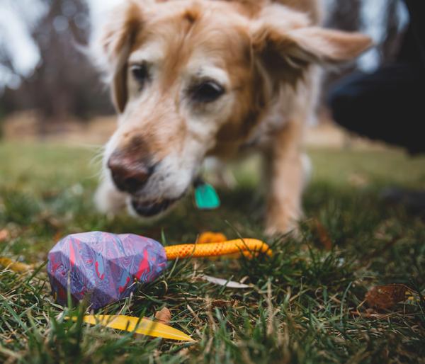 RUFFWEAR® Hundespielzeug Huck-a-Cone™, ca.