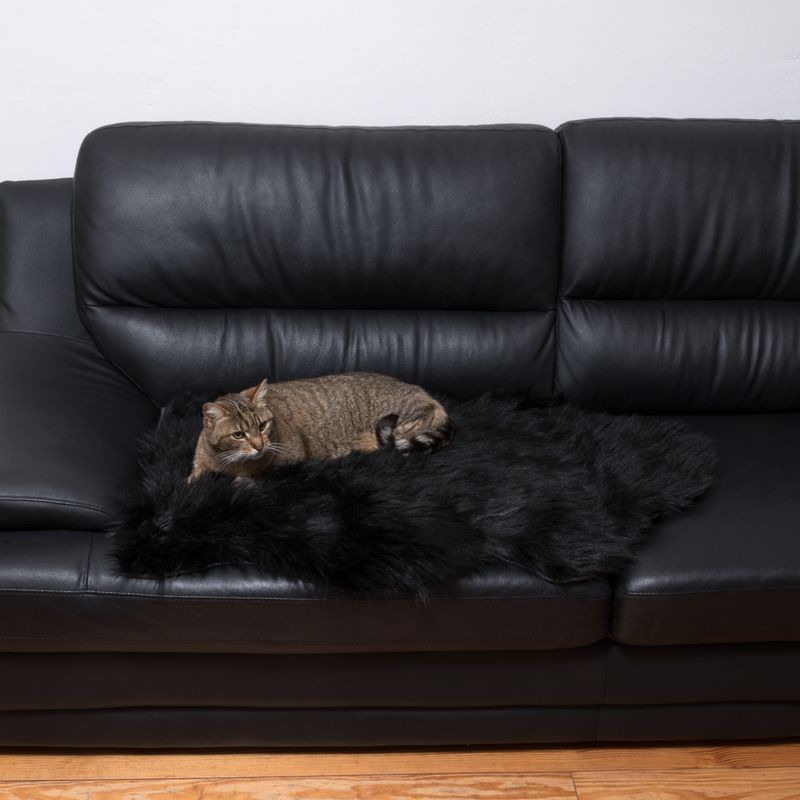Tapis Smartpet