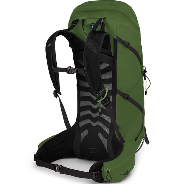 Sac à dos randonnée OSPREY TALON 36 GREEN BELT/BLACK