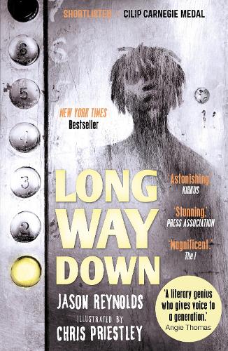 Long Way Down (Paperback)