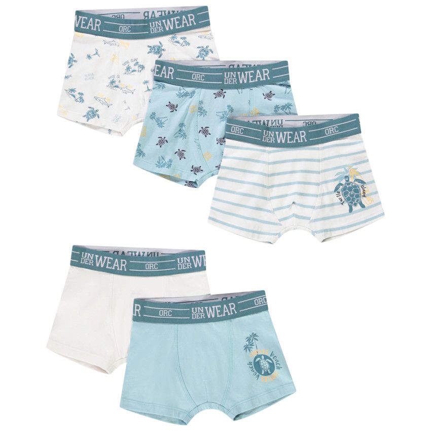 Lot de 5 boxers motifs Turtle Island pour garçon - Bleu