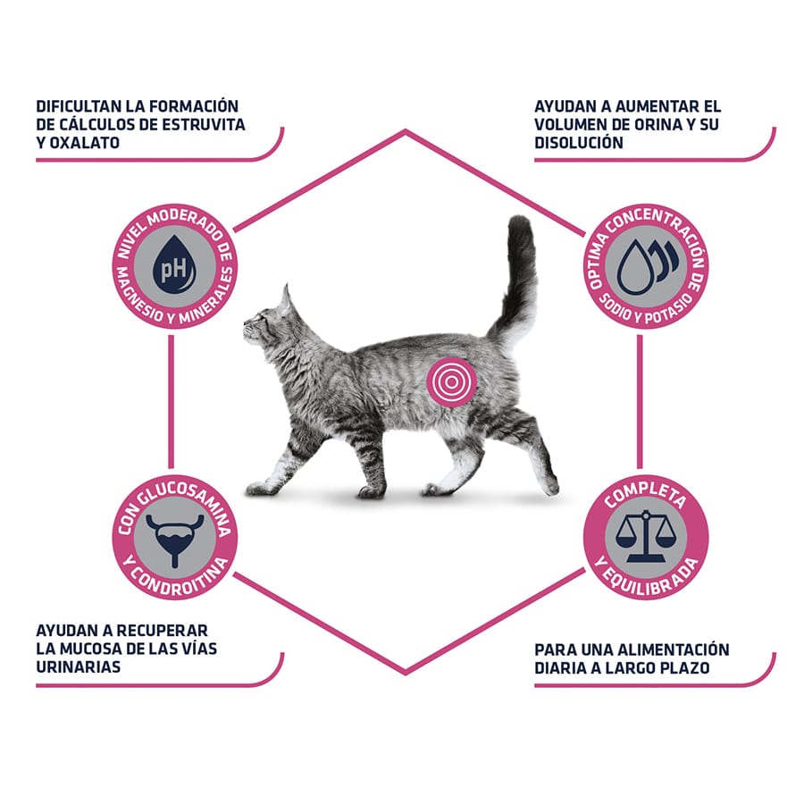 1,5 kg de alimento para gatos Advance Veterinary Diets com sabor urinário