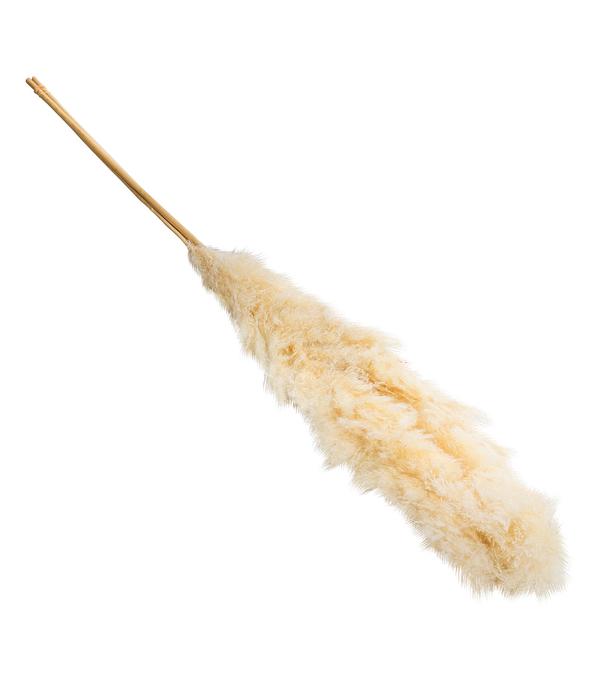 Trockenblumenbund Pampasgras, gebleicht