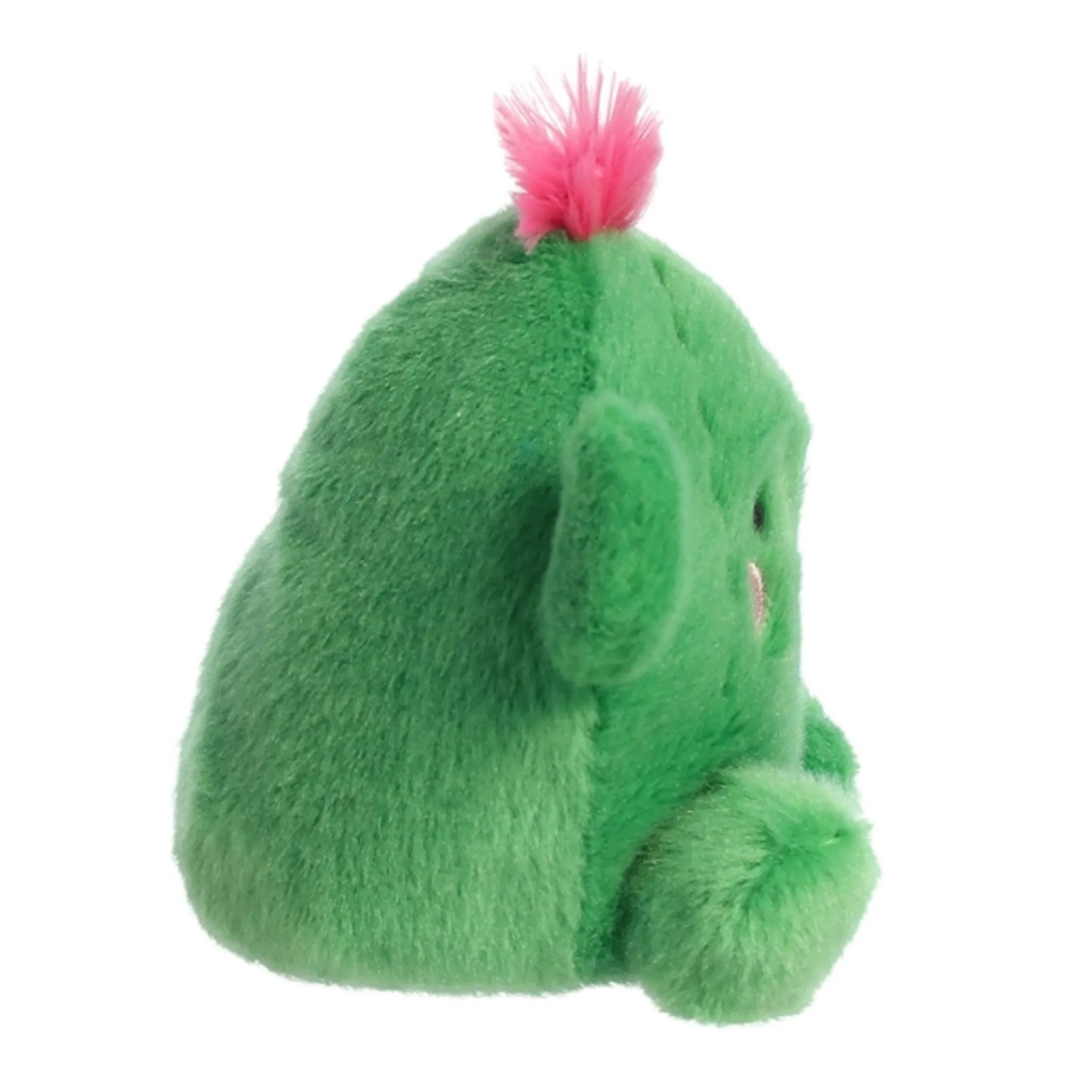 Aurora Cactus Souriant 5