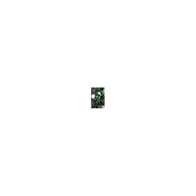 Pack de 12 dés D6 * gemini * VERT & ACIER