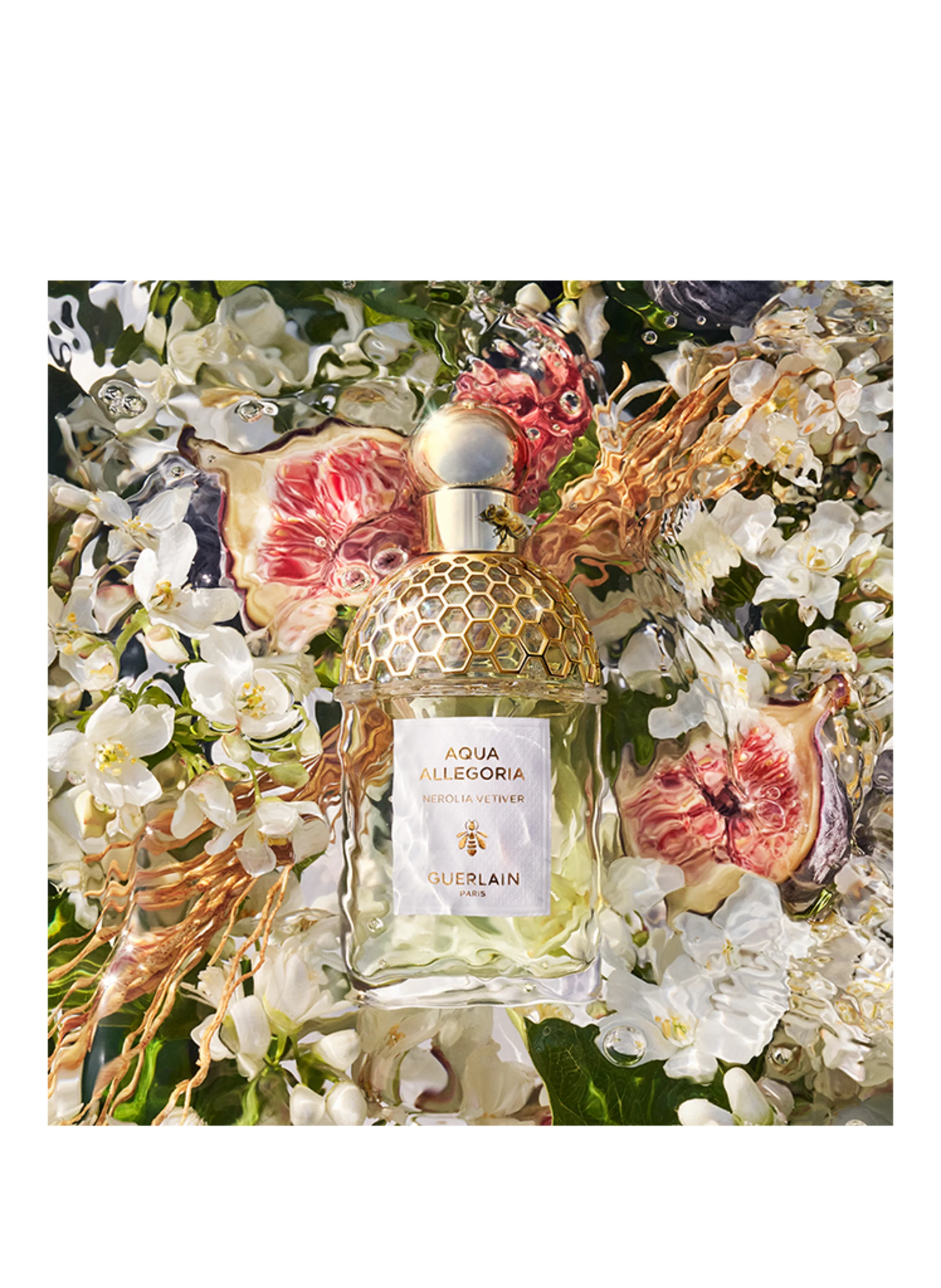 GUERLAIN AQUA ALLEGORIA NEROLIA VETIVER