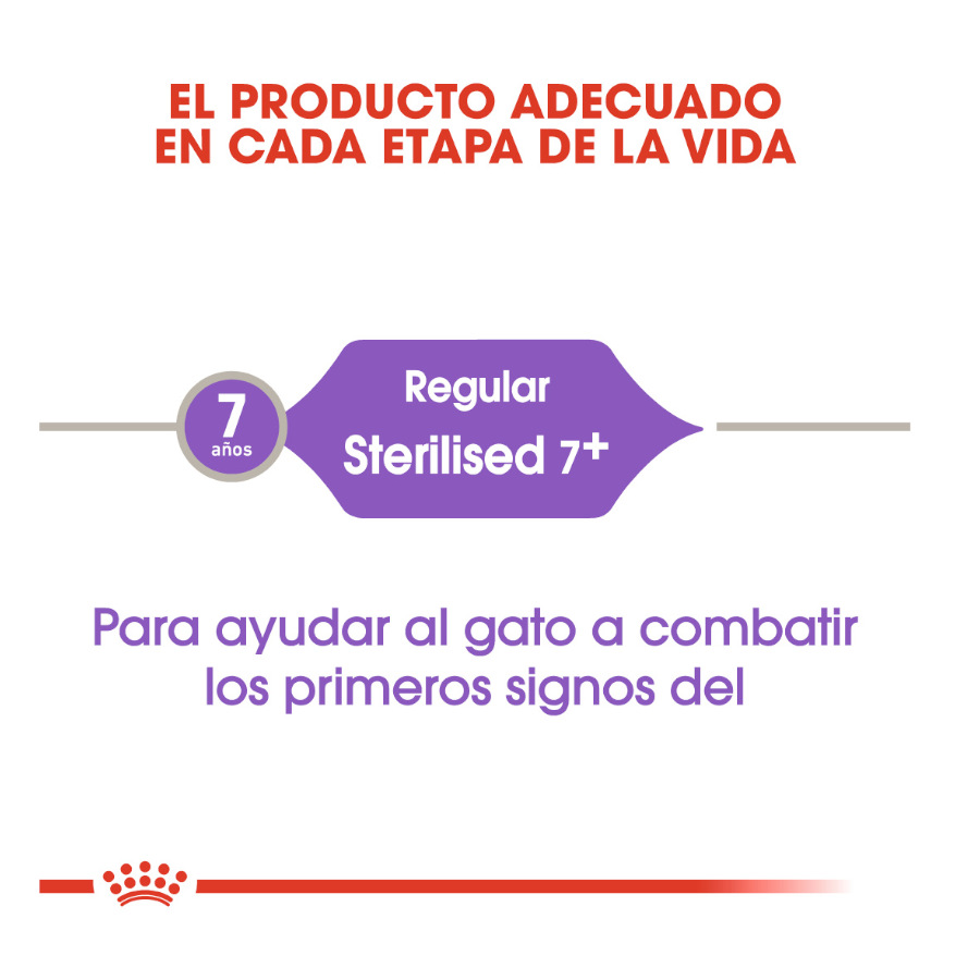 Ração esterilizada Royal Canin Adult 7+ para gatos