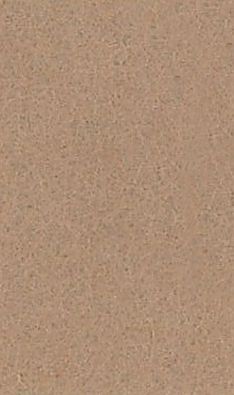 TrueFelt - Wolvilt - 20x30cm - Beige