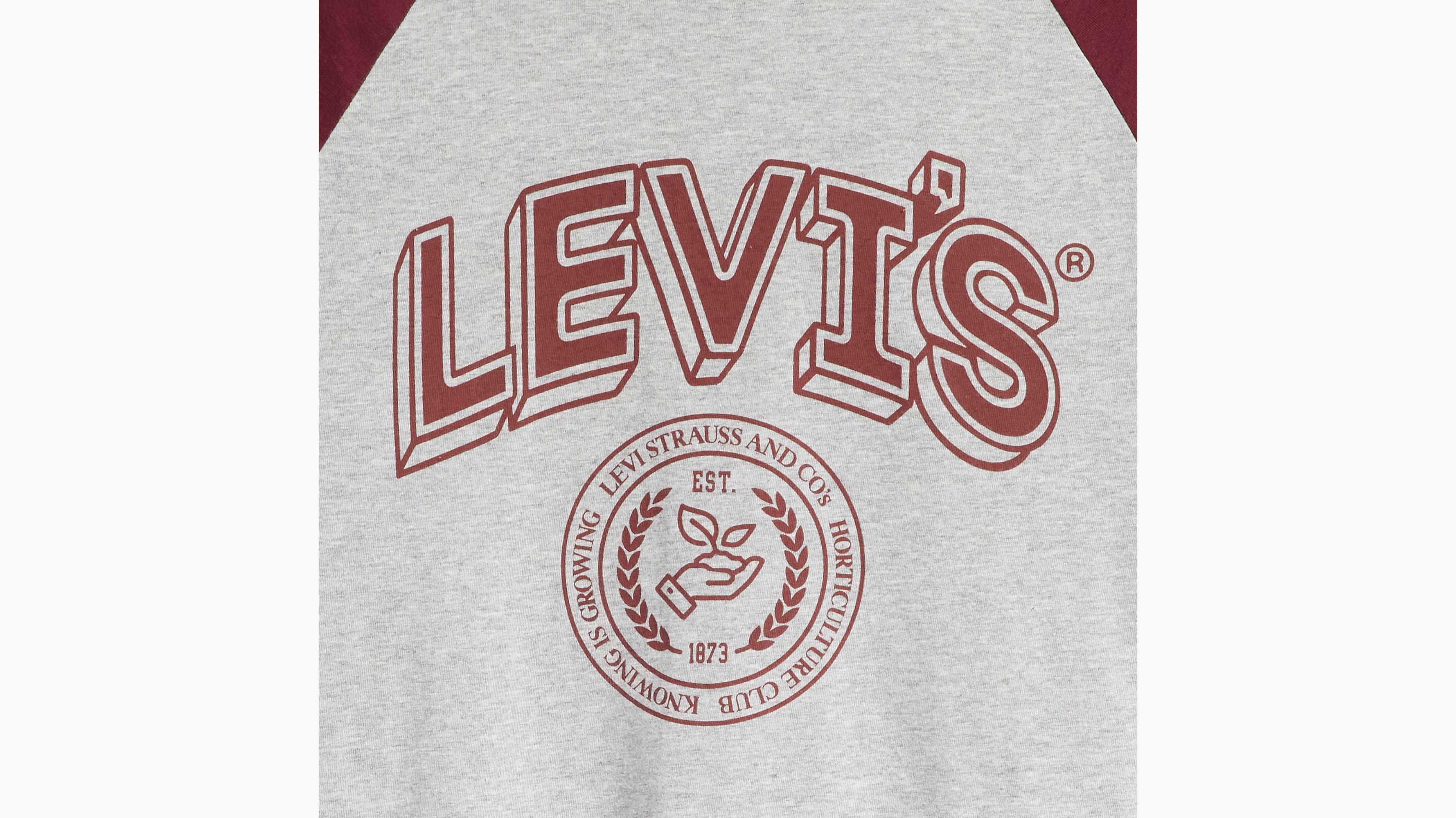 T-shirt graphique manches longues raglan - Red Mahogany / Midtone Heather Gray - Multicolore