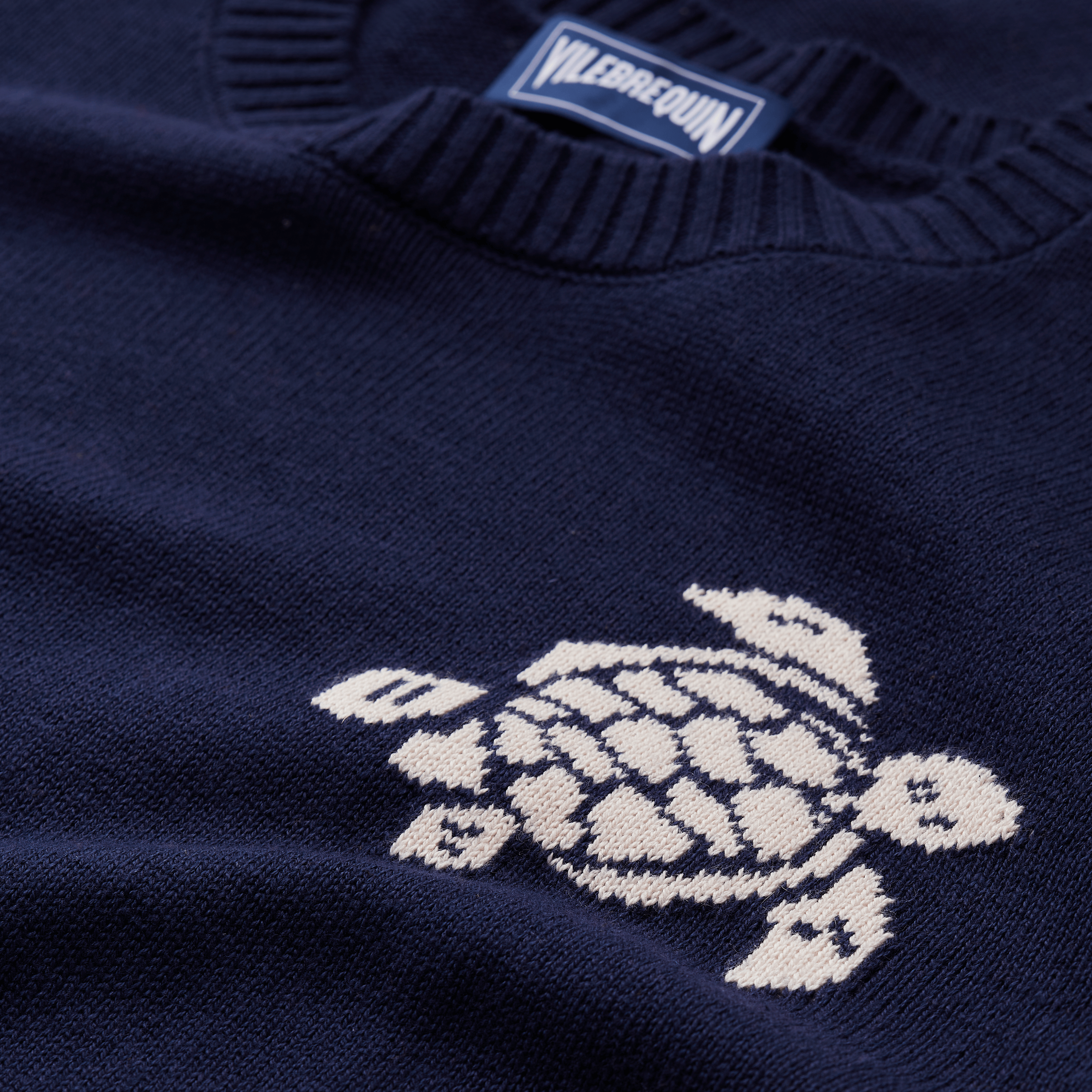 Pullover en Coton et Cachemire Ras-du-Cou Homme Tortue