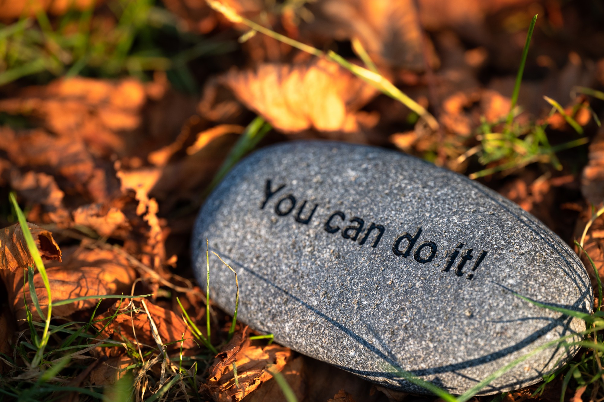 Flusskiesel 'You can do it', B 10-11 cm, H 3 cm von fischer's lagerhaus