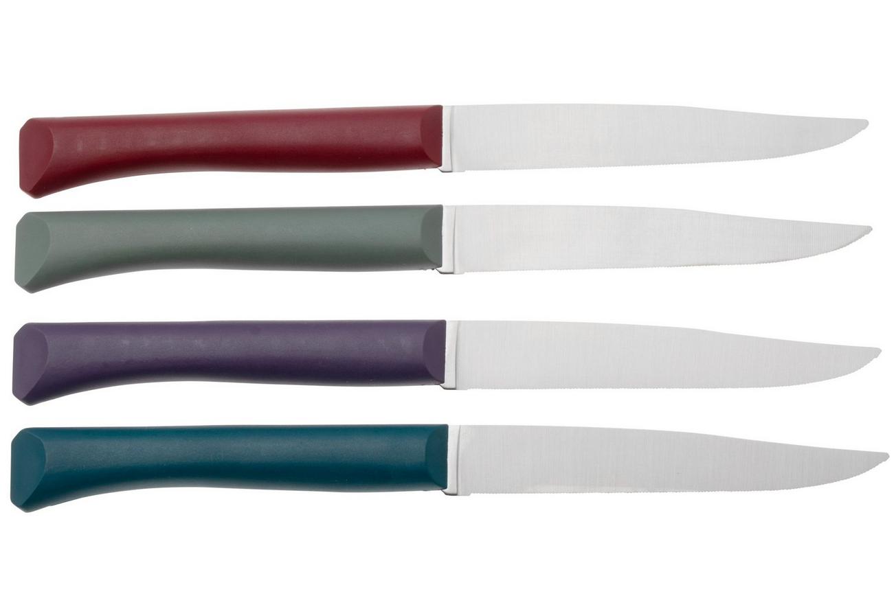 Opinel Bon Appetit  2197 Glam, 4-delige tafelmessenset