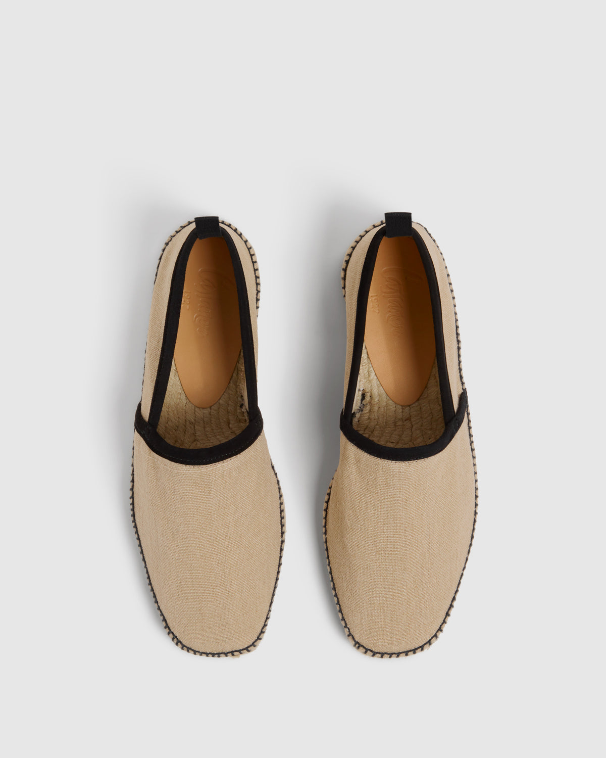 PAUL V/012