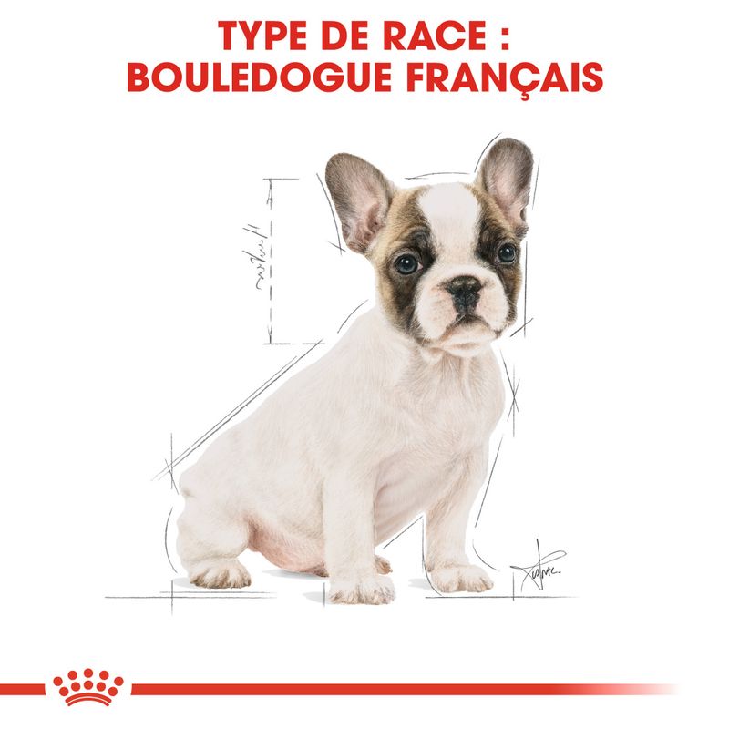 Royal Canin Bouledogue Français Puppy sur bitiba.fr
