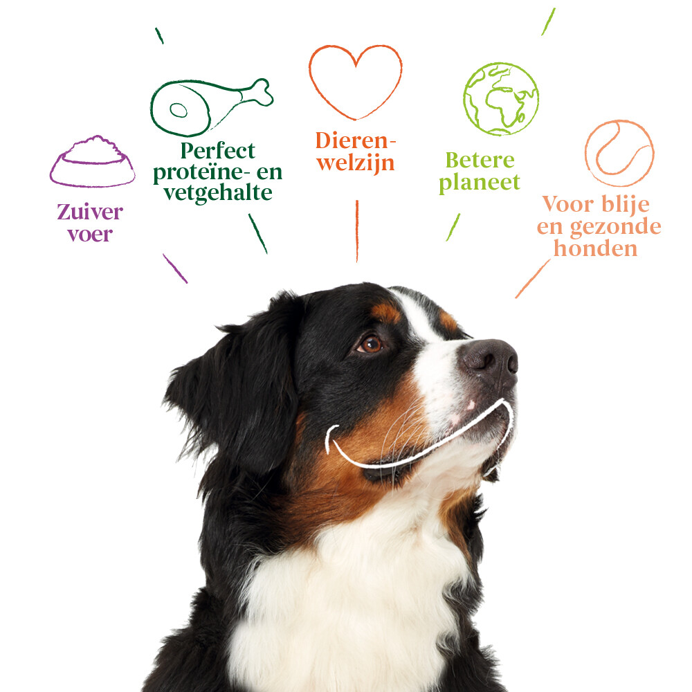 Yarrah Bio Kauwstaafjes Hond Rund3 stuks