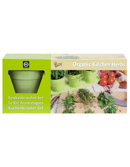 Buzzy Bio Keukenkruiden Set Groen - Kweeksets - per stuk