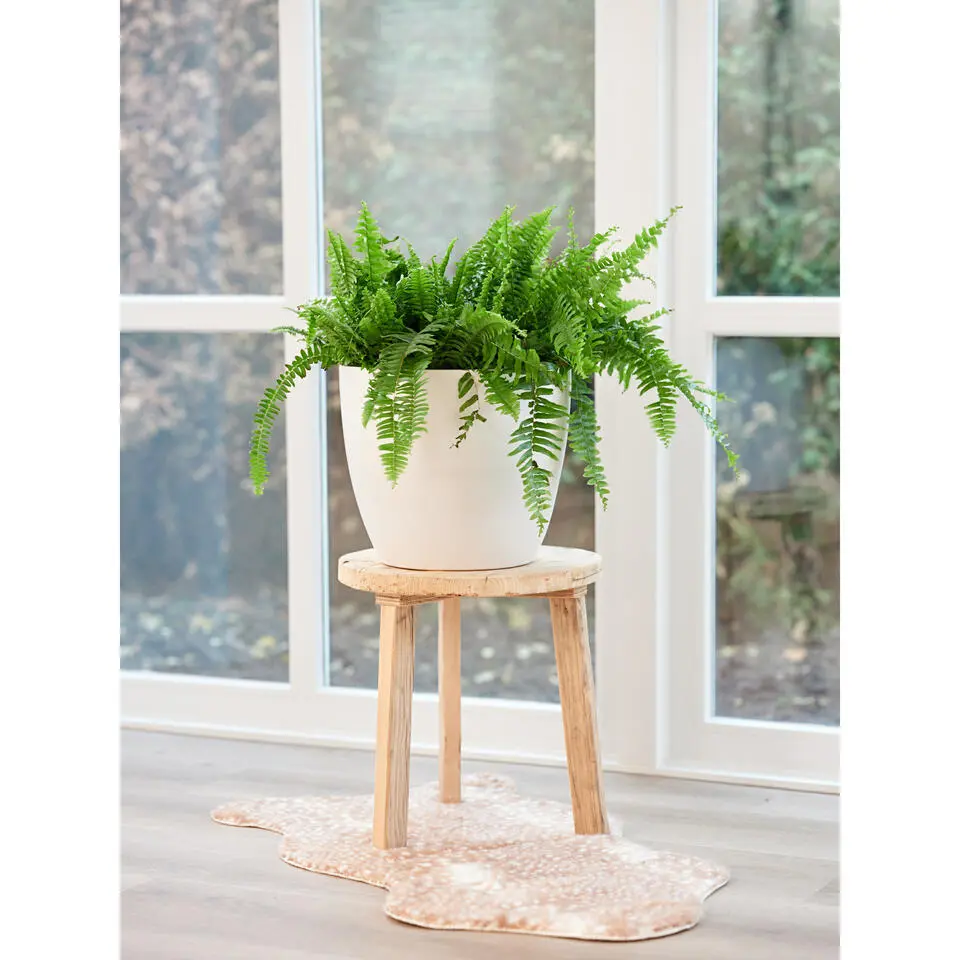 Ter Steege Bloempot - wit - Scandinavisch - 20 x 19 cm