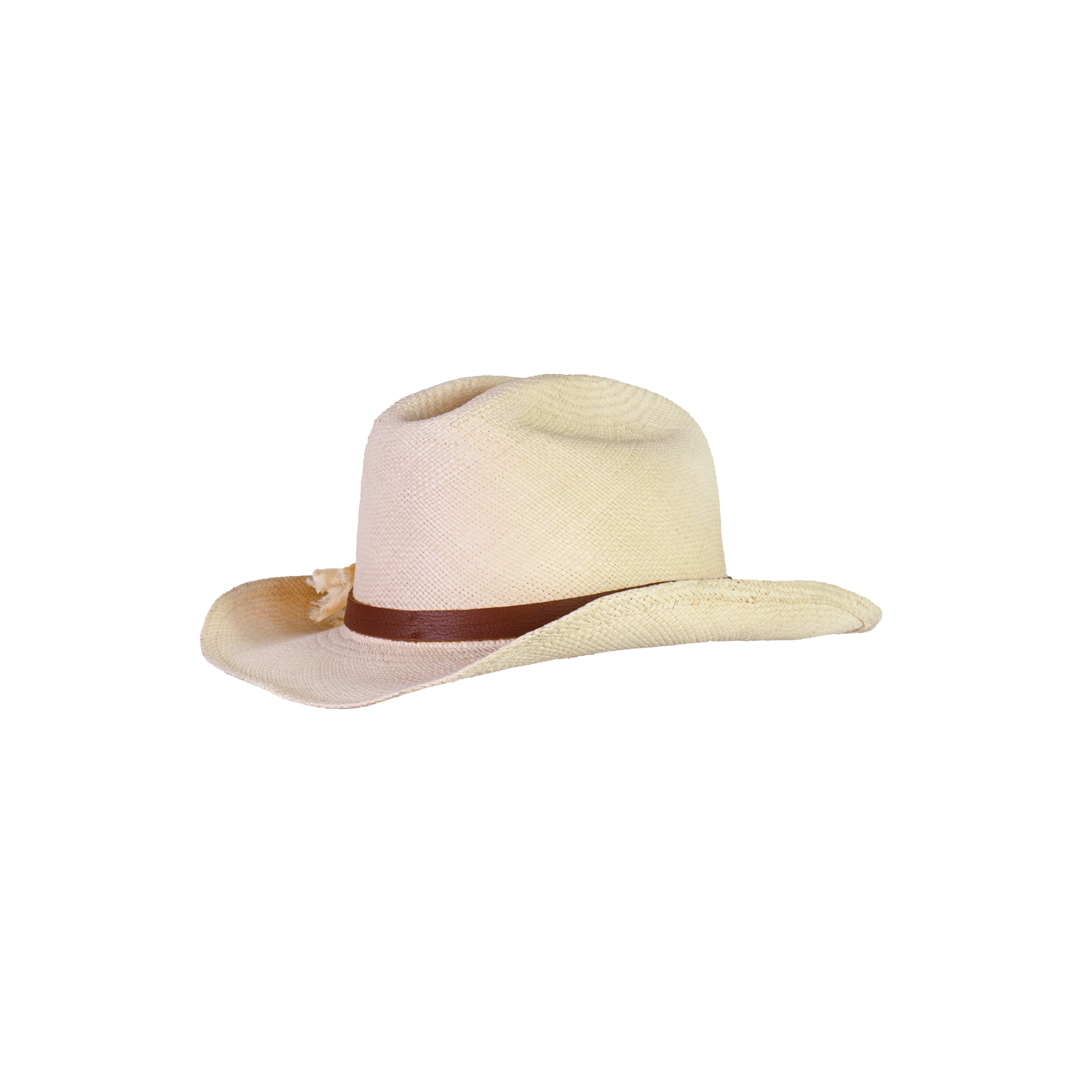 Chapeau de cowboy texan