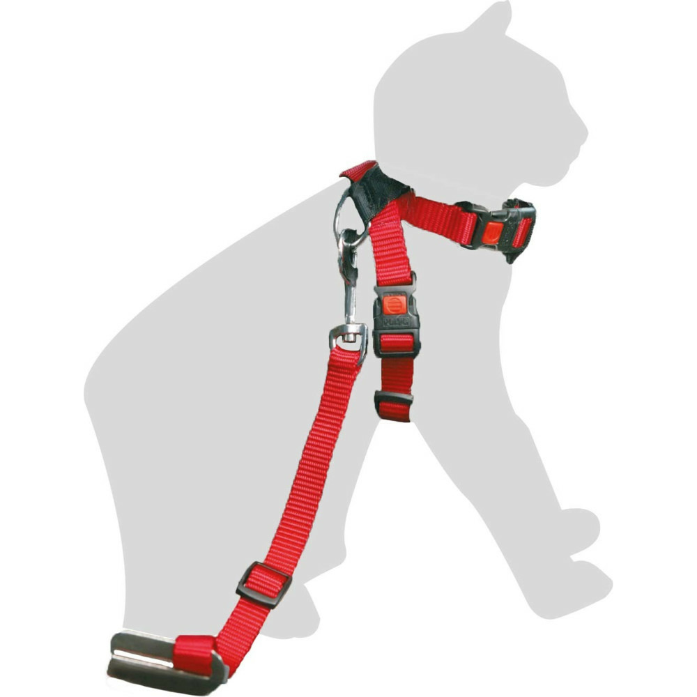 Harnais de sécurité voiture + laisse rouge 15 mm pour chat