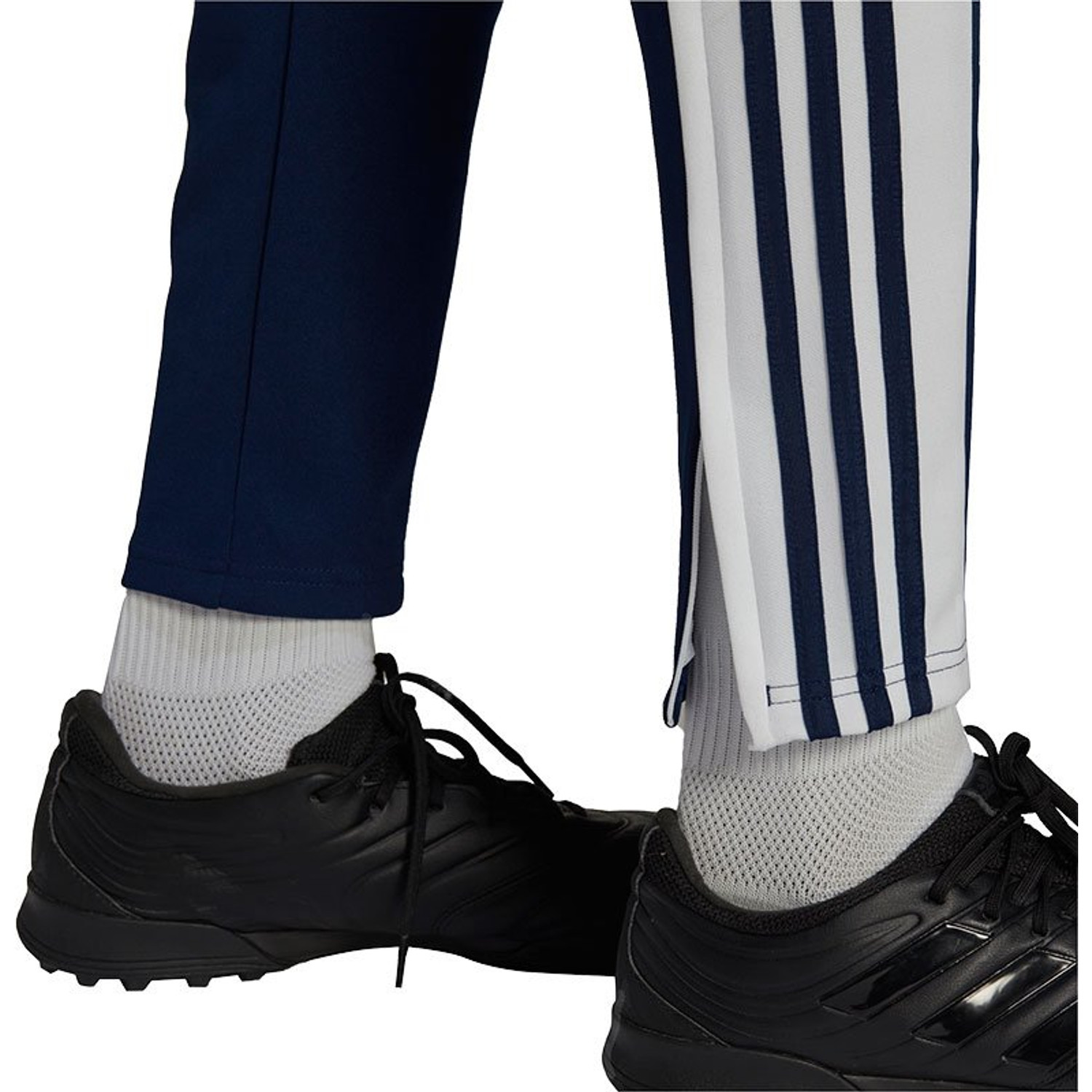 adidas Squadra Training Pant