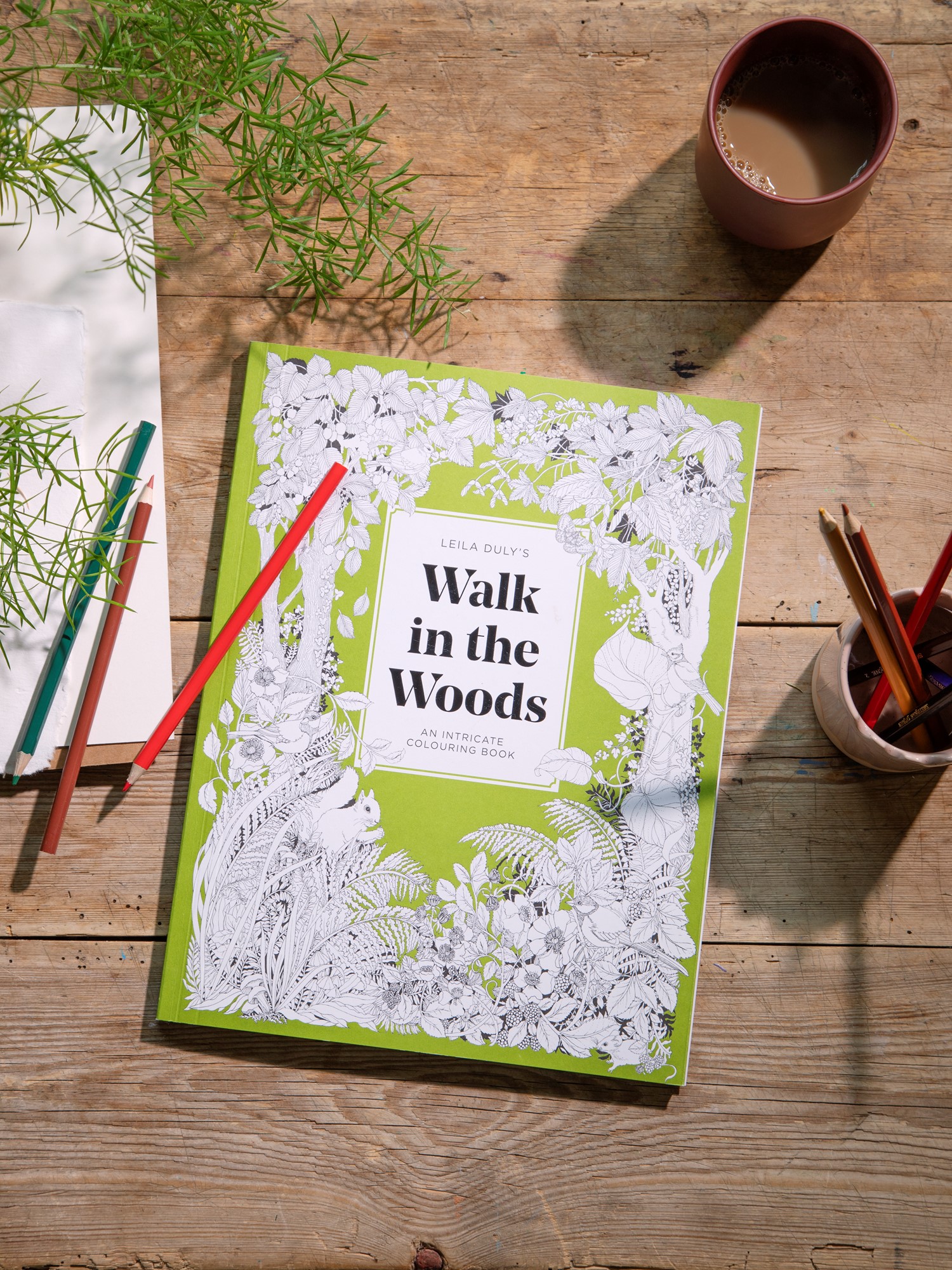 Beautiful Planet Colouring Book | Softcover. Papir. 31 x 23,5 x 1 cm. 80 sider.  | Fern Green | New Mags