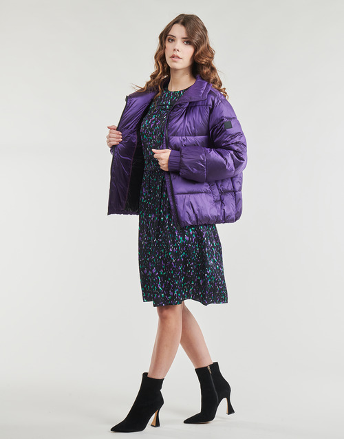 BOSS - C_Padina Violeta