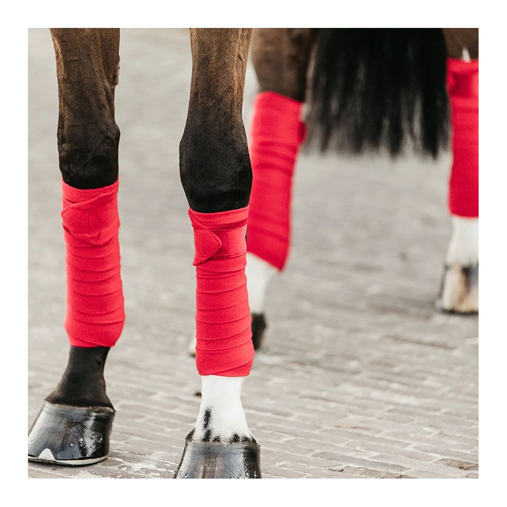 Kentucky VELVET - Bandes de polo x4 rouge