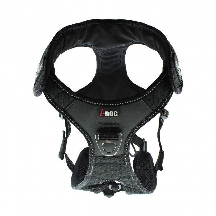 Harnais de traction Raidlight