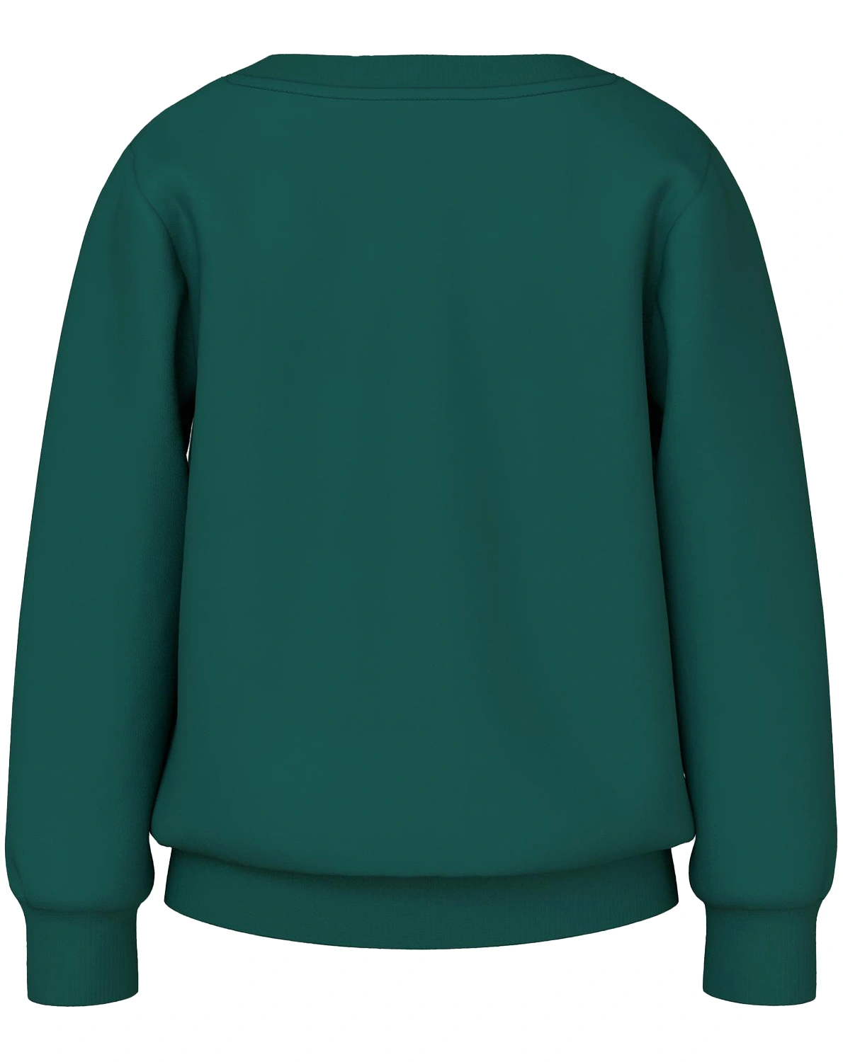 Sweatshirt NMMVILDAR WILD&FREE in forest biome