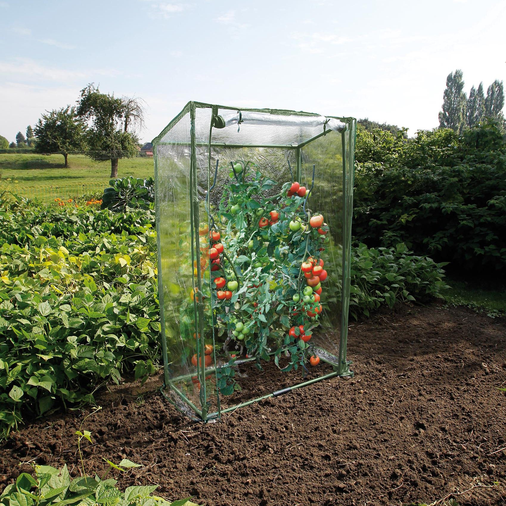 Nature Kweekkas Tomaten