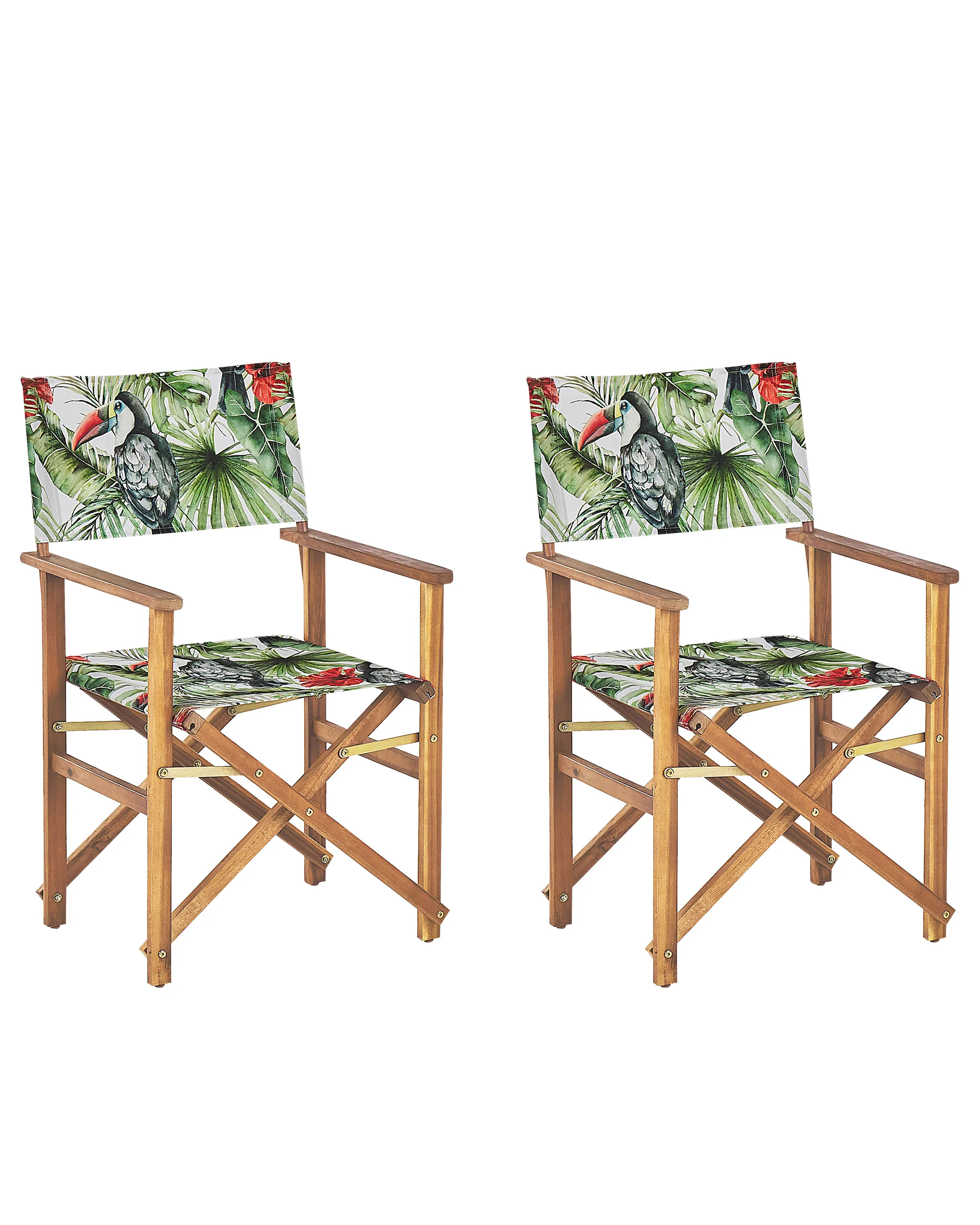 Set van 2 tuinstoelen CINE Acaciahout Groen