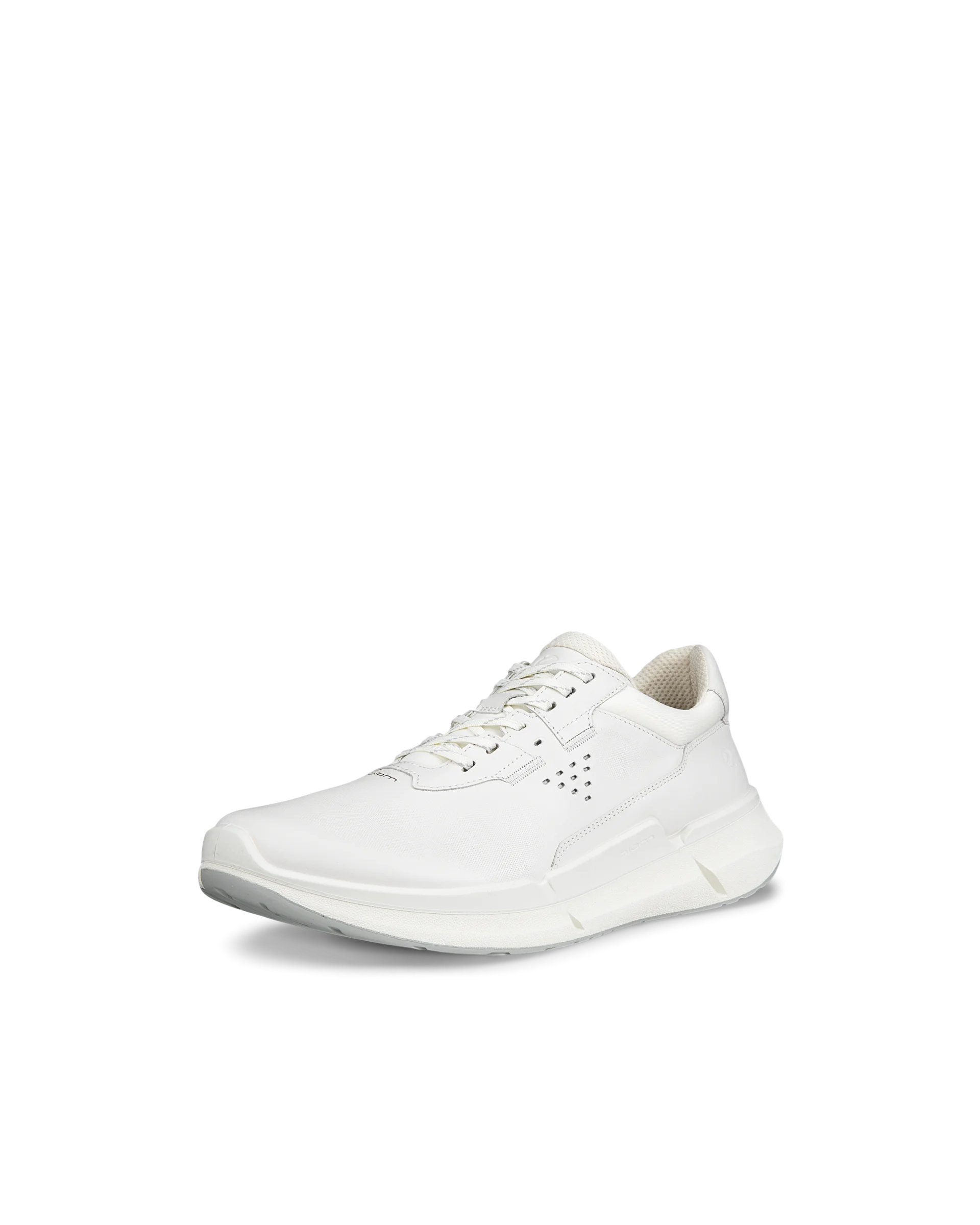 ECCO BIOM 2.2 M Herren Ledersneaker Weiß