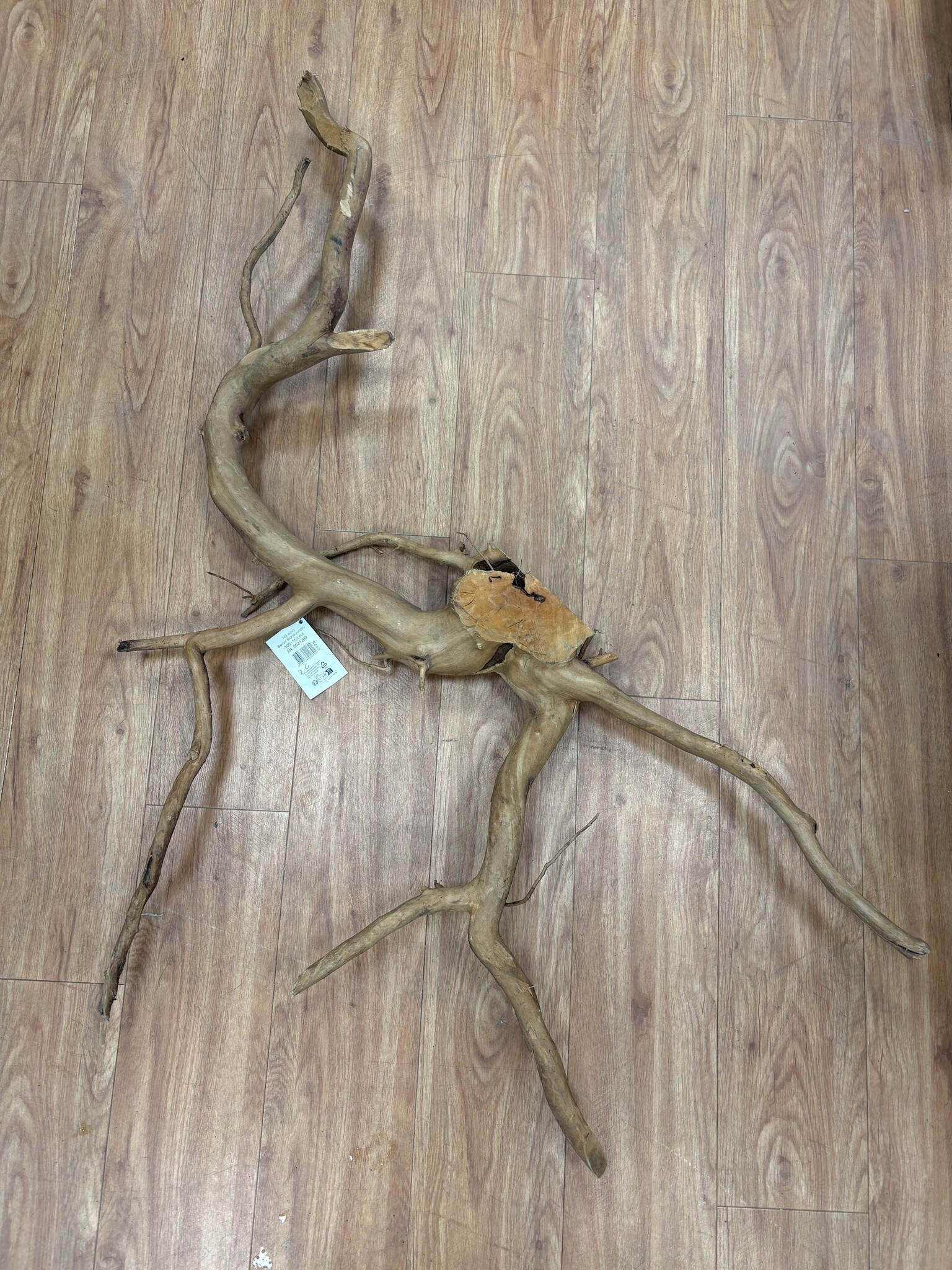 AQXL Selected Spider Wood Jumbo 100x150 A