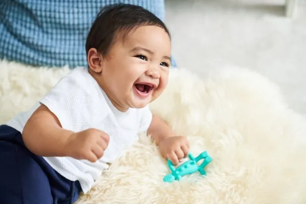 Matchstick Monkey Teether Dinosaur