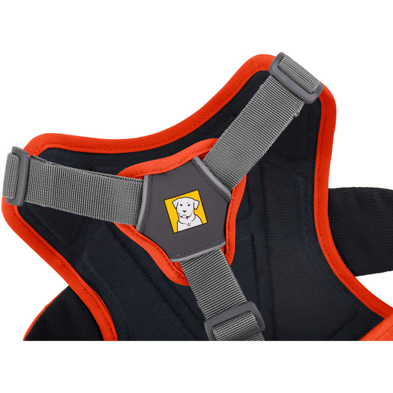 Ruffwear Web Master Hundegeschirr