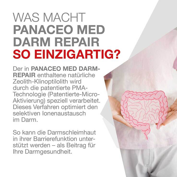 PANACEO MED DARM-REPAIR Pulver, 400 g