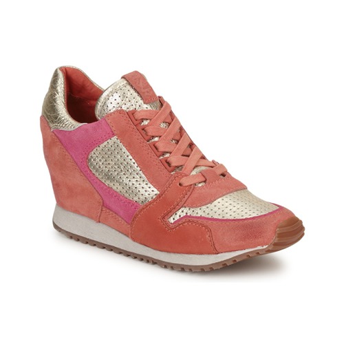 Ash - DEAN BIS - Or /  Corail /  Rose